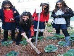 Öğrencilere uygulama tarlaları