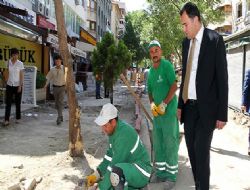 Sakarya özgür olacak