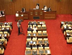 Meclis'te Ankapark tartışması