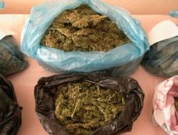 20 kilo esrar ele geçirildi