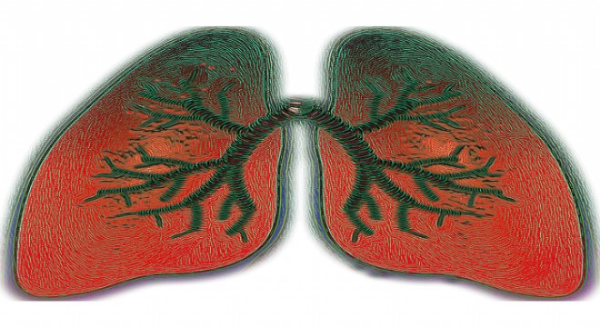 Astım hakkında bilgiler