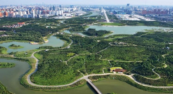 Başkent Beijing'e 100 milyon kişi 210 milyon ağaç dikti