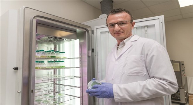 Boğaziçi Üniversitesi, Avrupa Enerji Araştırma Birliği Biyoenerji Platformu'na tam üye olarak kabul edildi