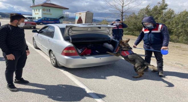 İçişleri Bakanlığı'ndan 81 ile eş zamanlı uygulama