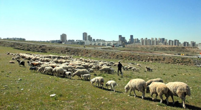 İncek'in 2 yüzü