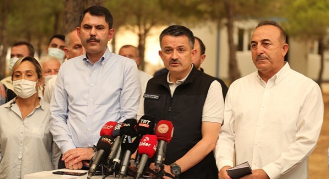 Kahramanmaraş'taki yangın kontrol altında