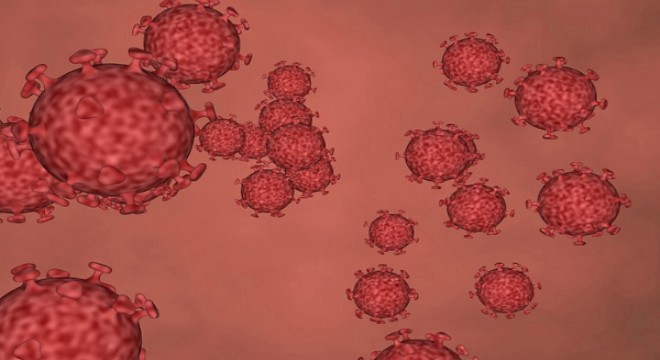 Kaliforniya'da 40'tan fazla gizemli solunum ölümü