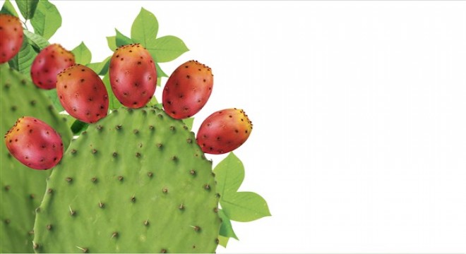 Karantinada alınan kilolar için Prof. Dr. Murat Baş'tan öneriler