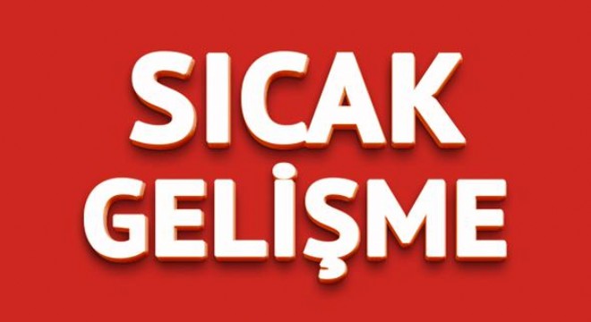 Kargo devi MNG satıldı