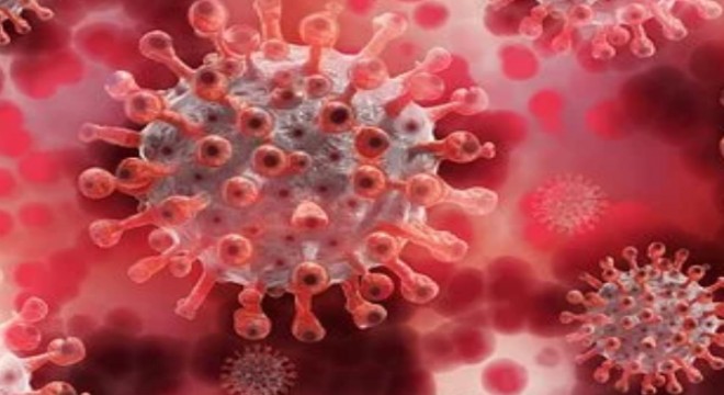 Koronavirüs salgınında ölenlerin sayısı 11 bin 059'a ulaştı