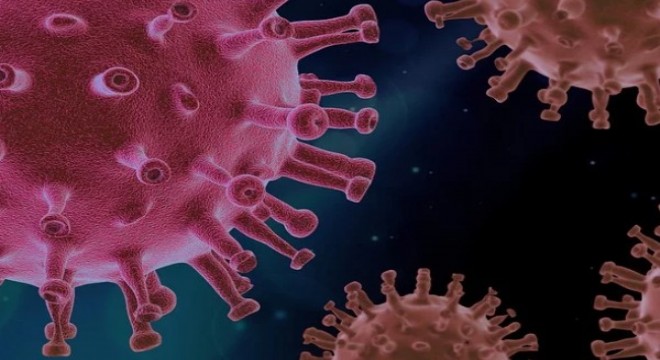 Koronavirüs salgınında ölenlerin sayısı 4.055'e ulaştı