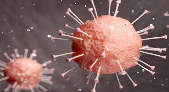 Koronavirüs salgınında ölenlerin sayısı 5 bin 674'e ulaştı