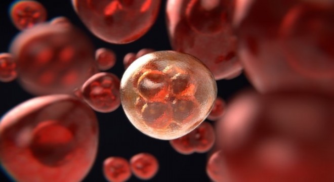 Koronavirüs salgınında vaka sayısı 31 bin 923'e ulaştı