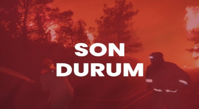 Marmaris'teki orman yangını