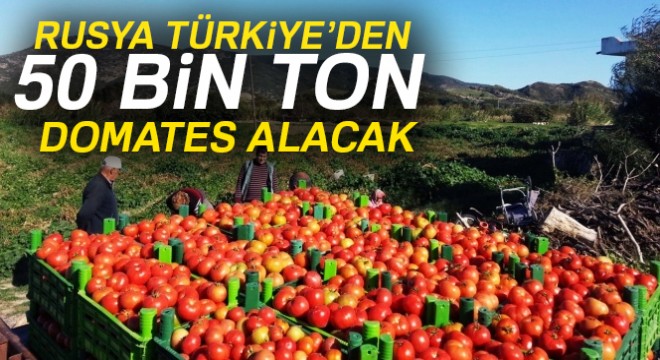 Rusya'dan Türk domatesi açıklaması