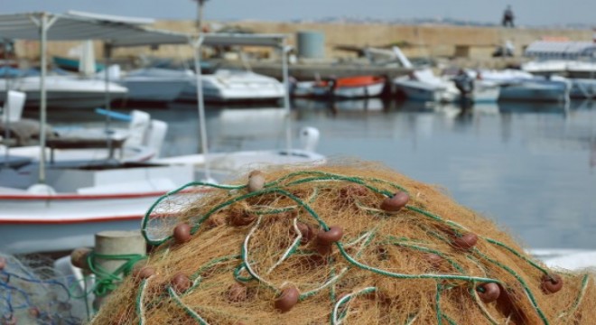 Su ürünleri avcılığı akdeniz'de 15 Eylül, diğer denizlerimizde 1 Eylülde başlayacak