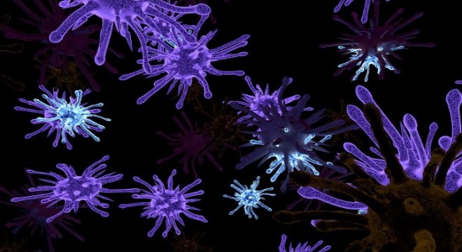 Türkiye'nin “Koronafobi Haritası” açıklandı