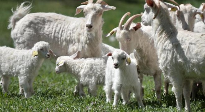 Türkiye'nin lezzetleri Başkent'te buluşuyor