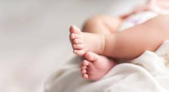 Türkiye'de Doğurganlık Hızı Düşüşte: 2025'te Ortalama 1,42 Çocuğa Geriledi