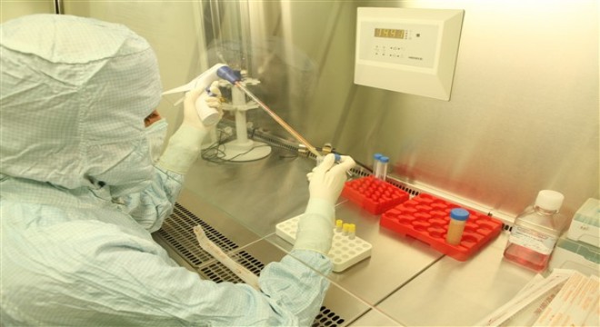 Yılların hastalığı Tavuk Karası'na ( Gece Körlüğü) kök hücre umudu