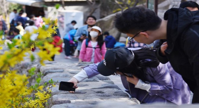 Çin'de Qingming Bayramı'nın ilk gününde 51 milyondan fazla seyahat