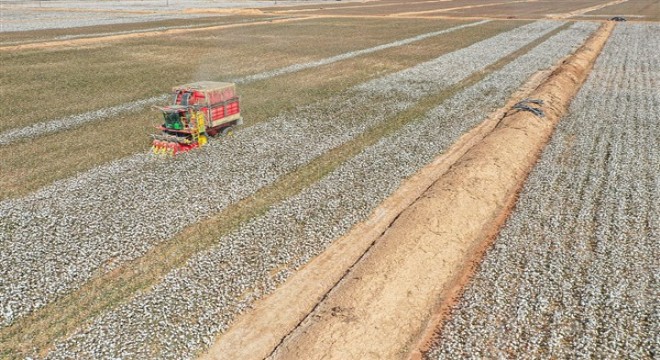 Çin'den, ABD'ye Xinjiang ürünlerinin ithalatını yasaklamasına tepki